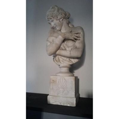 Bust In Plaster After Houdon Ht 76 Cms