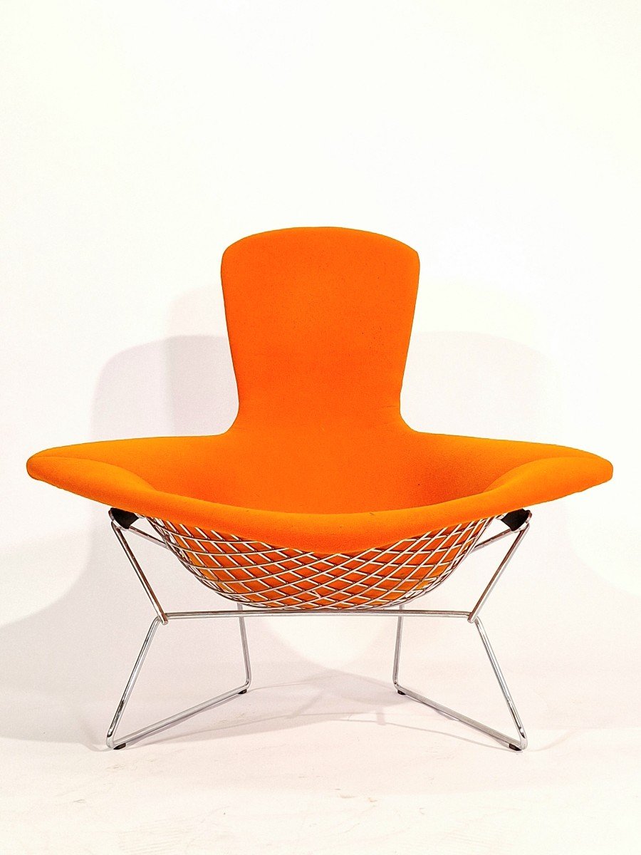 Bird Chair, Harry Bertoia, Knoll-photo-3