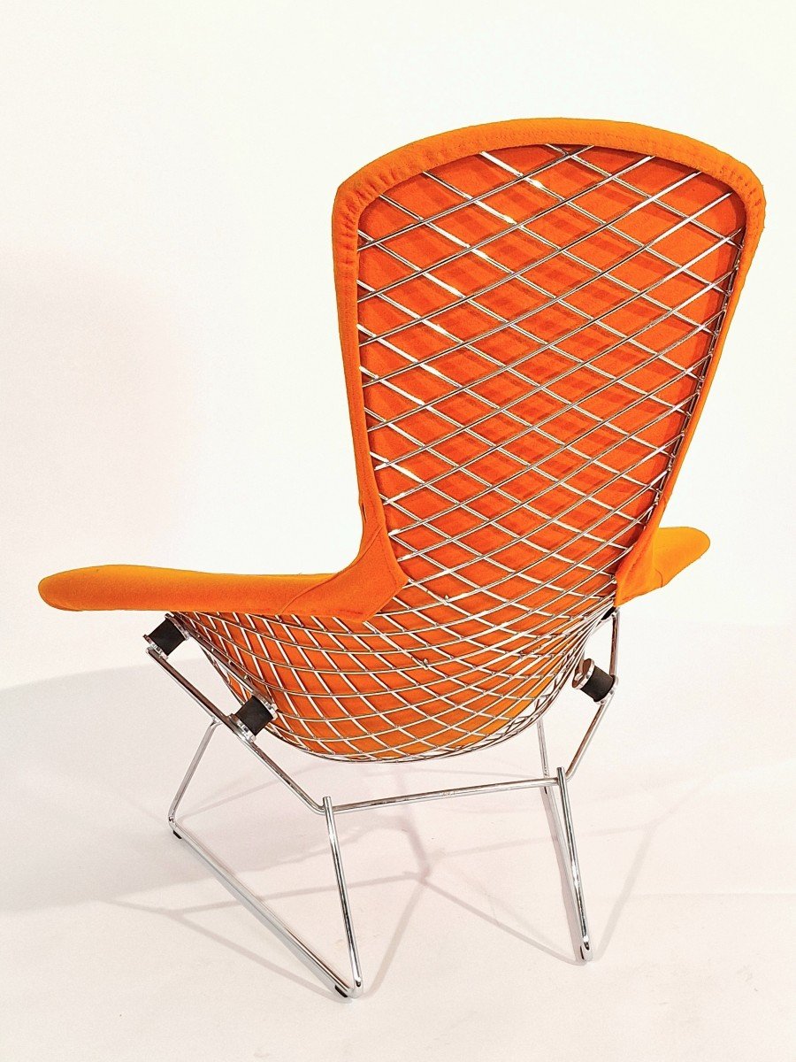 Bird Chair, Harry Bertoia, Knoll-photo-4