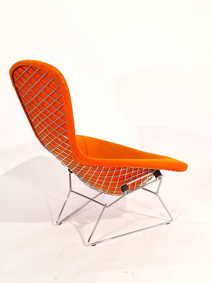 Bird Chair, Harry Bertoia, Knoll-photo-5