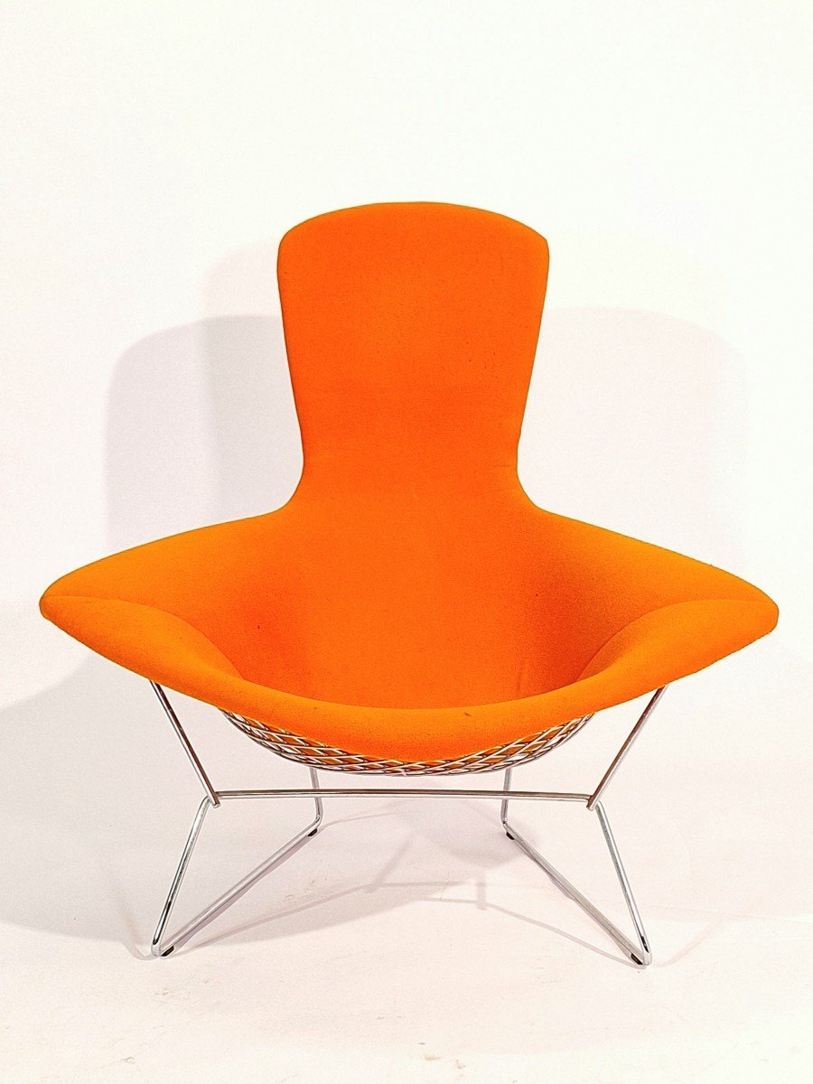 Bird Chair, Harry Bertoia, Knoll-photo-6
