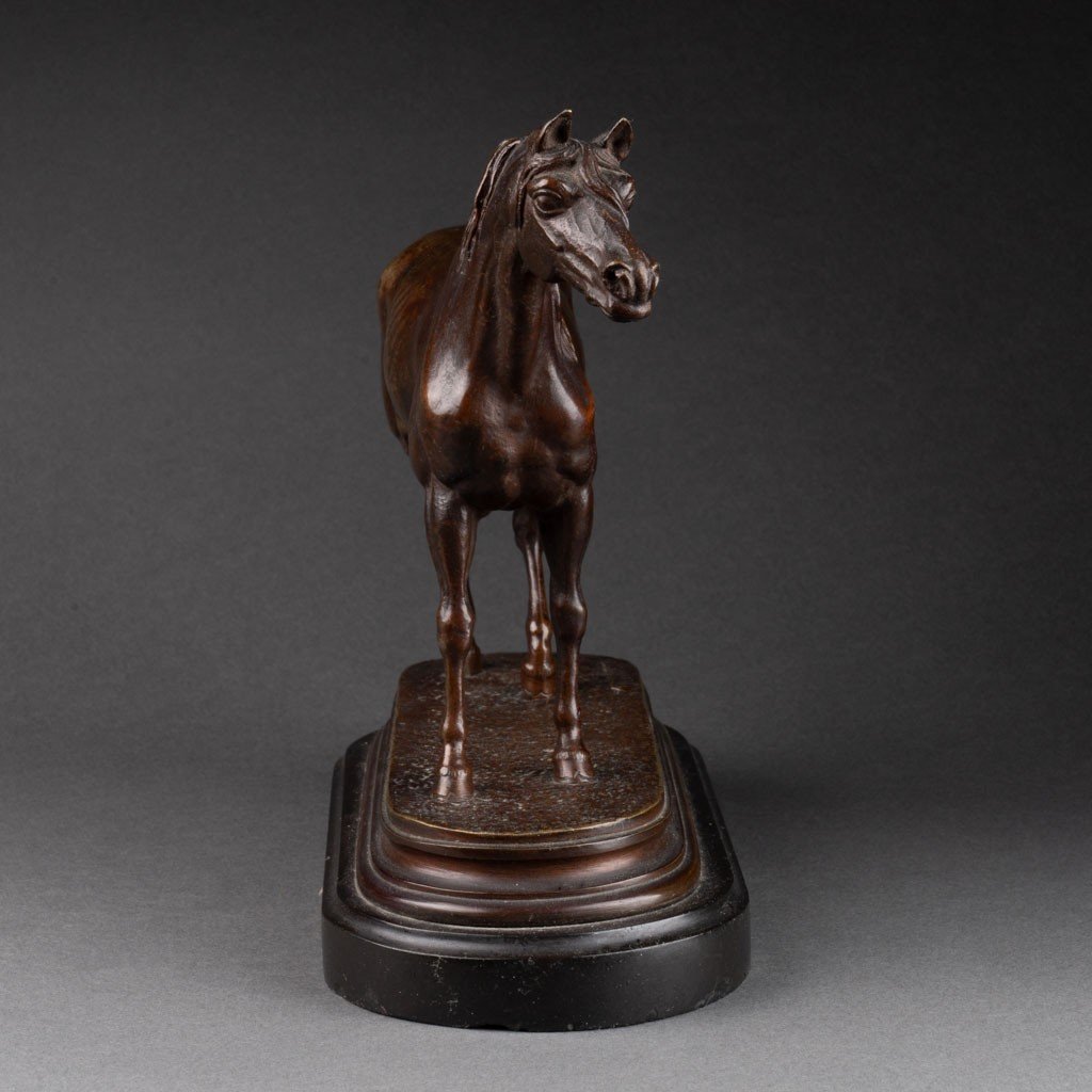 Jules Moigniez: Arabian Horse, Patinated Bronze Sculpture - Circa 1880-photo-3