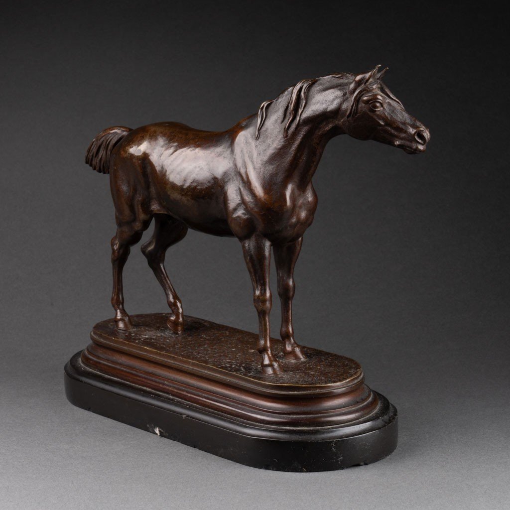 Jules Moigniez: Arabian Horse, Patinated Bronze Sculpture - Circa 1880-photo-4