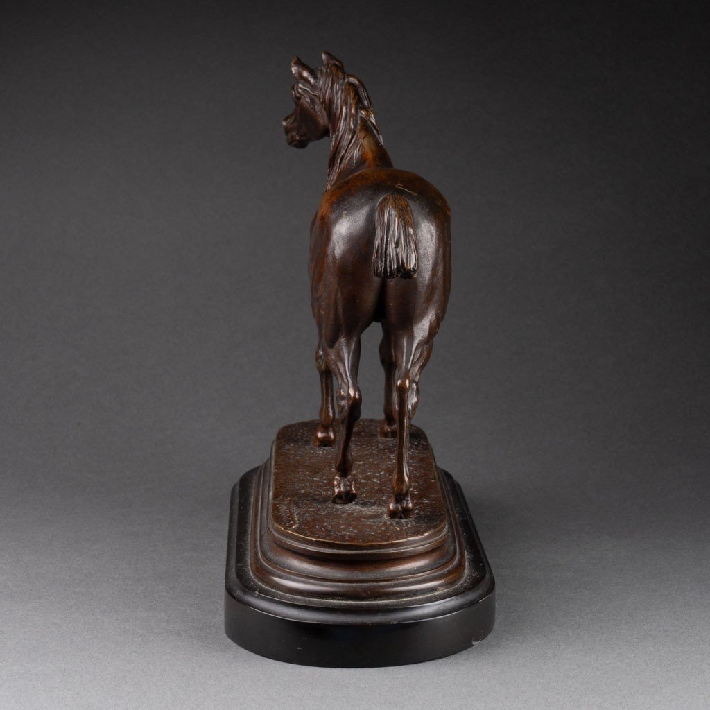 Jules Moigniez: Arabian Horse, Patinated Bronze Sculpture - Circa 1880-photo-3