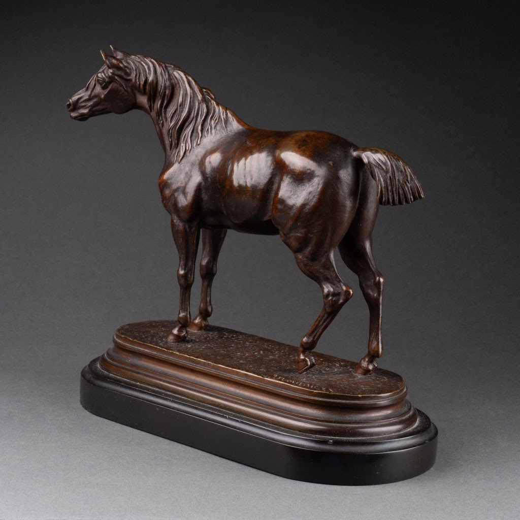 Jules Moigniez: Arabian Horse, Patinated Bronze Sculpture - Circa 1880-photo-4