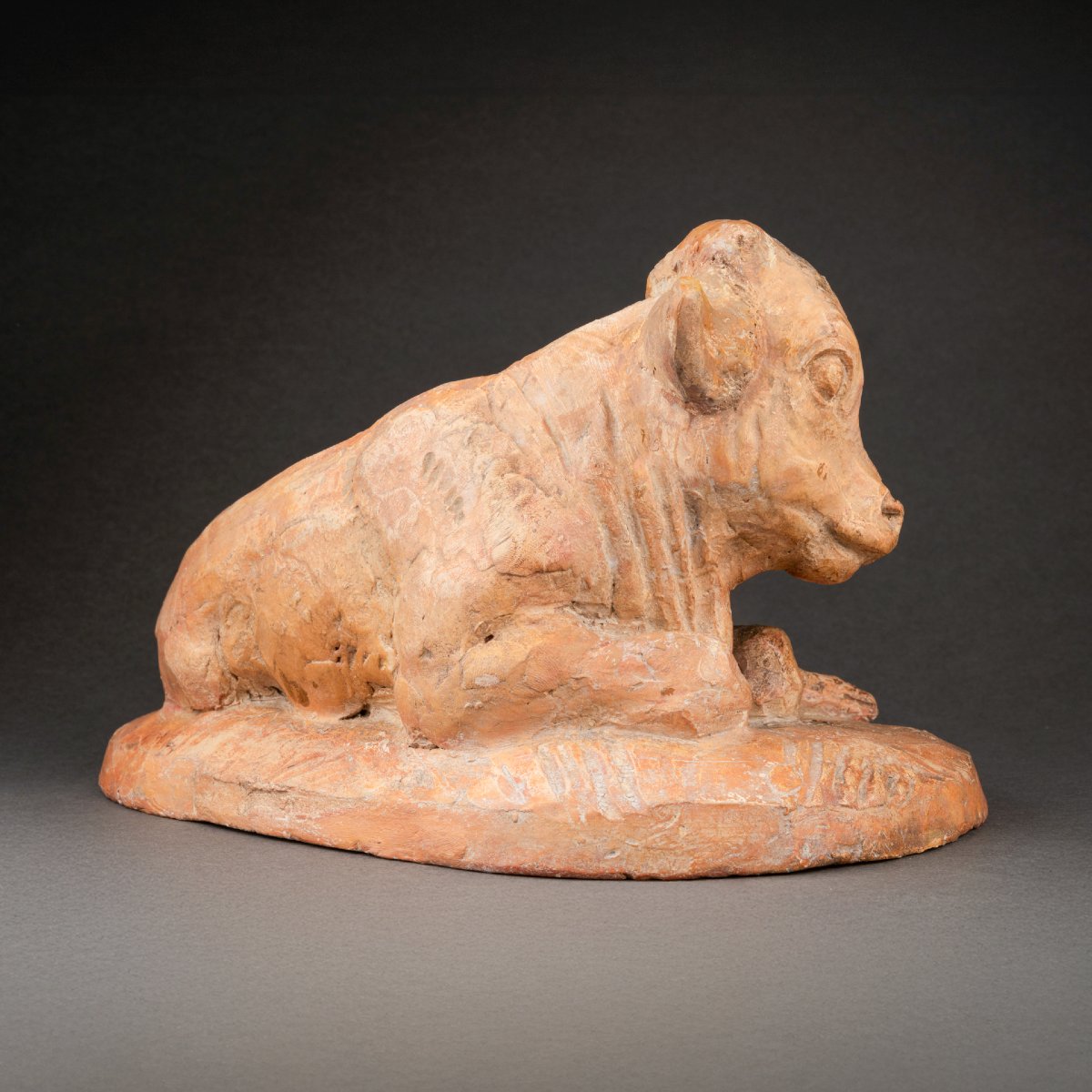 Arnold Huggler: "young Bison", Original Terracotta - Circa 1930-photo-4