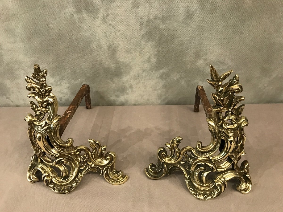 Pair Of Andirons In Bronze Louis XV Napoleon III From The 19th Century-photo-2