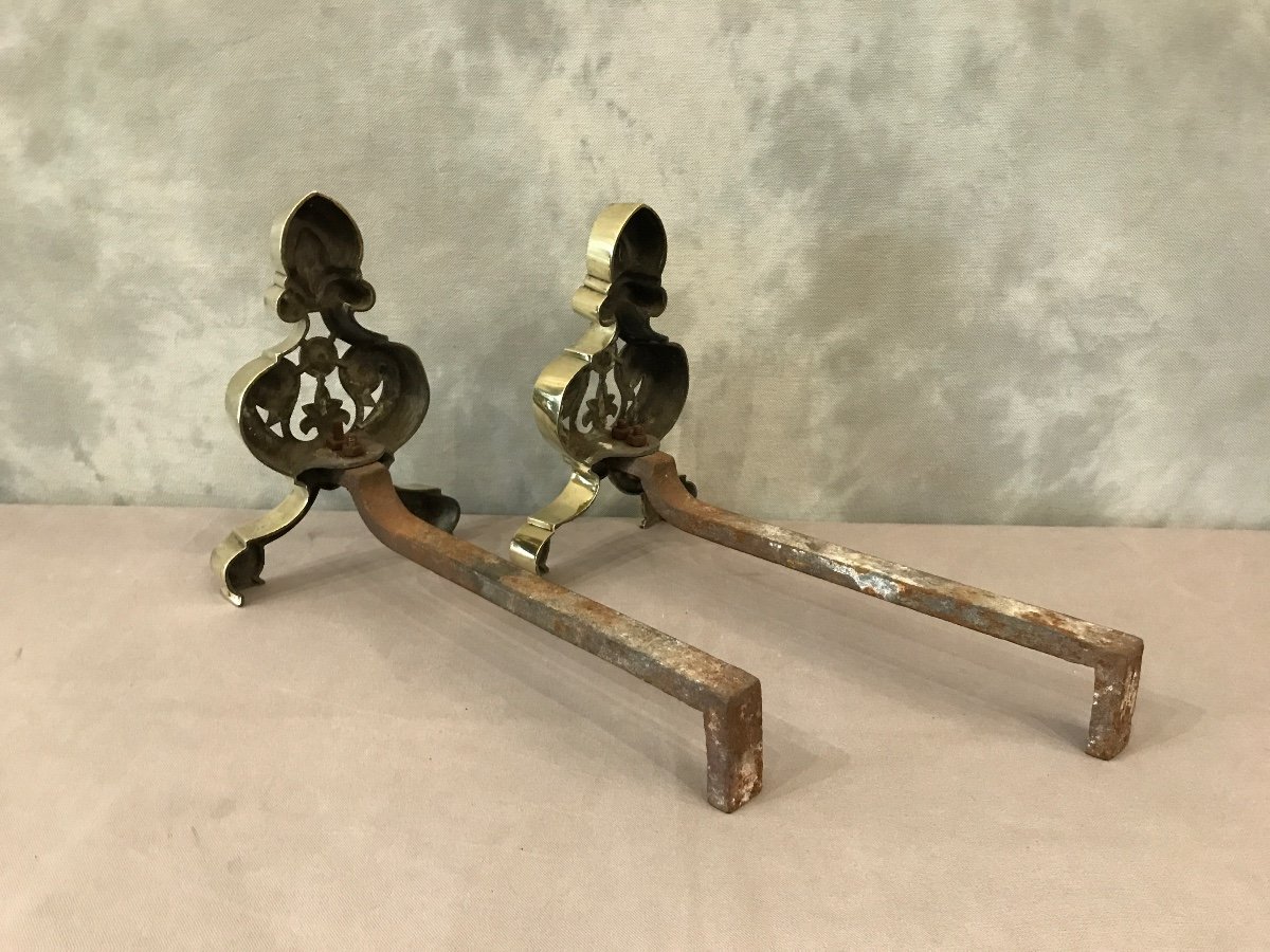 Pair Of Andirons In Bronze And Brass From The 1900s Decorated With Lily Flowers.-photo-2