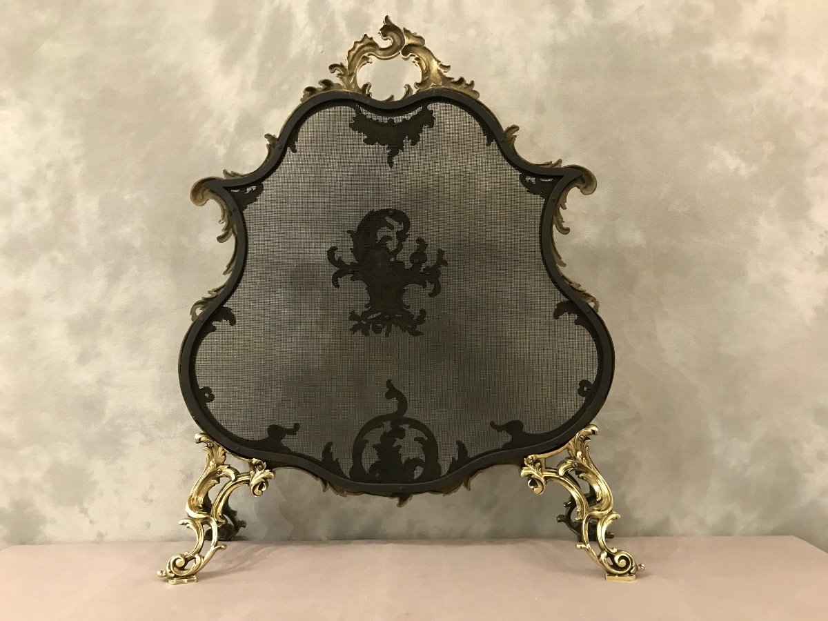 Antique 19th Century Louis XV Style Bronze Fireplace Screen -photo-5