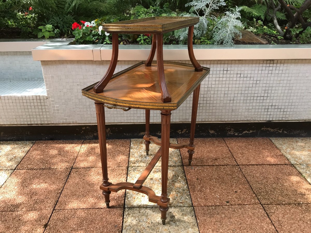 Tea Table Marquetry Rosewood 19th-photo-4