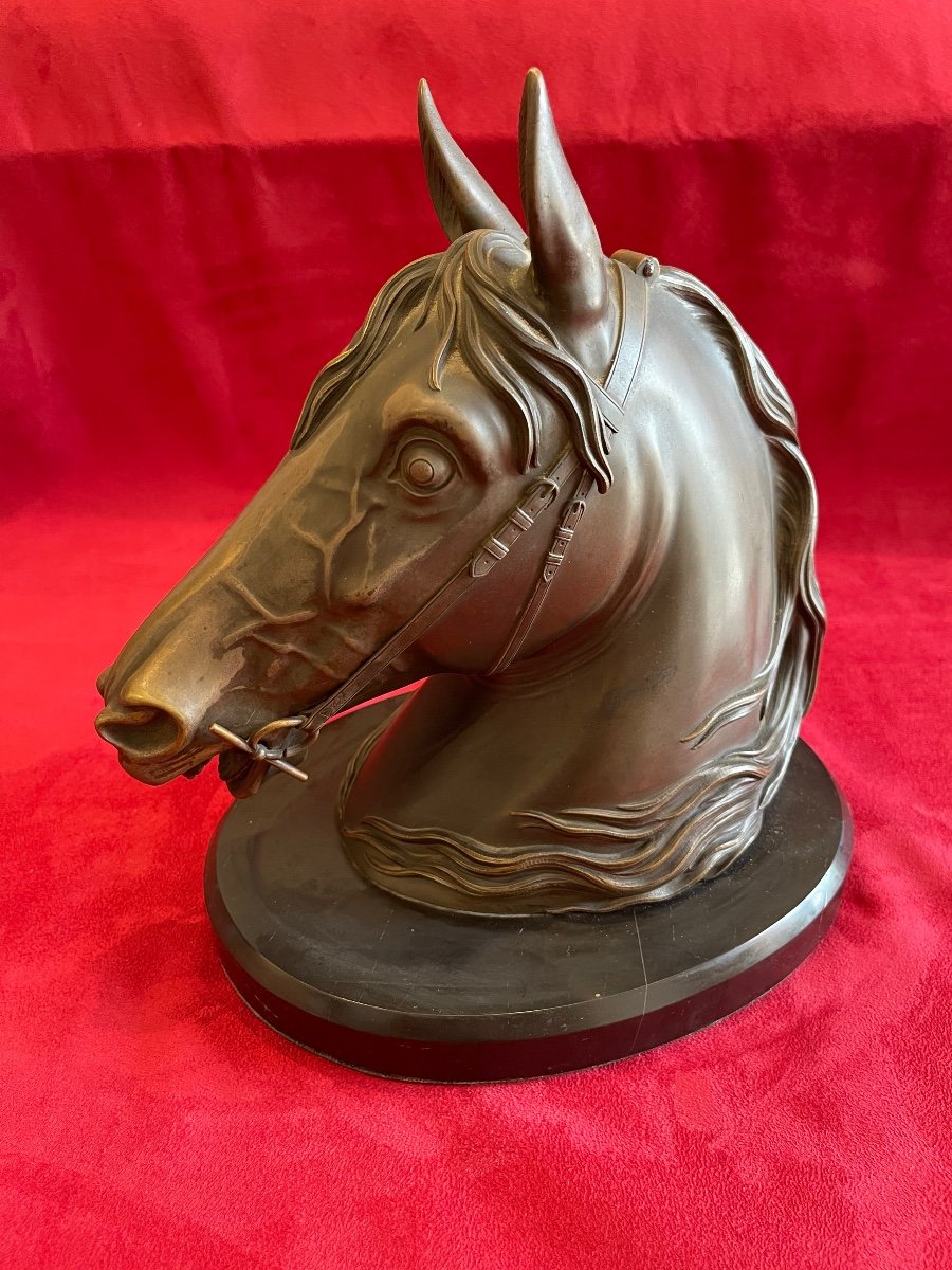 Bronze Horse Bust, Storage Pockets-photo-2