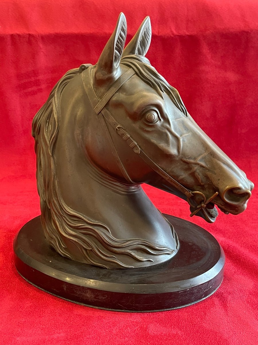 Bronze Horse Bust, Storage Pockets