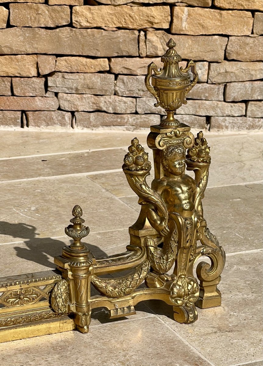 Andirons / Napoleon III Gilt Bronze Fireplace Adornment-photo-3