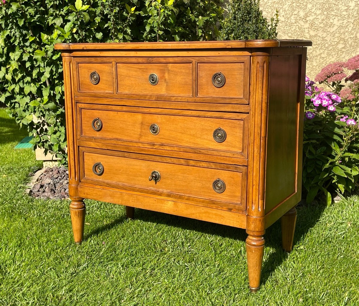 Louis XVI Style Walnut Chest Of Drawers -photo-2