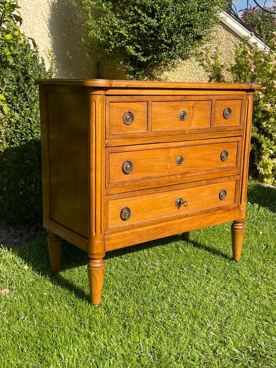 Louis XVI Style Walnut Chest Of Drawers -photo-2