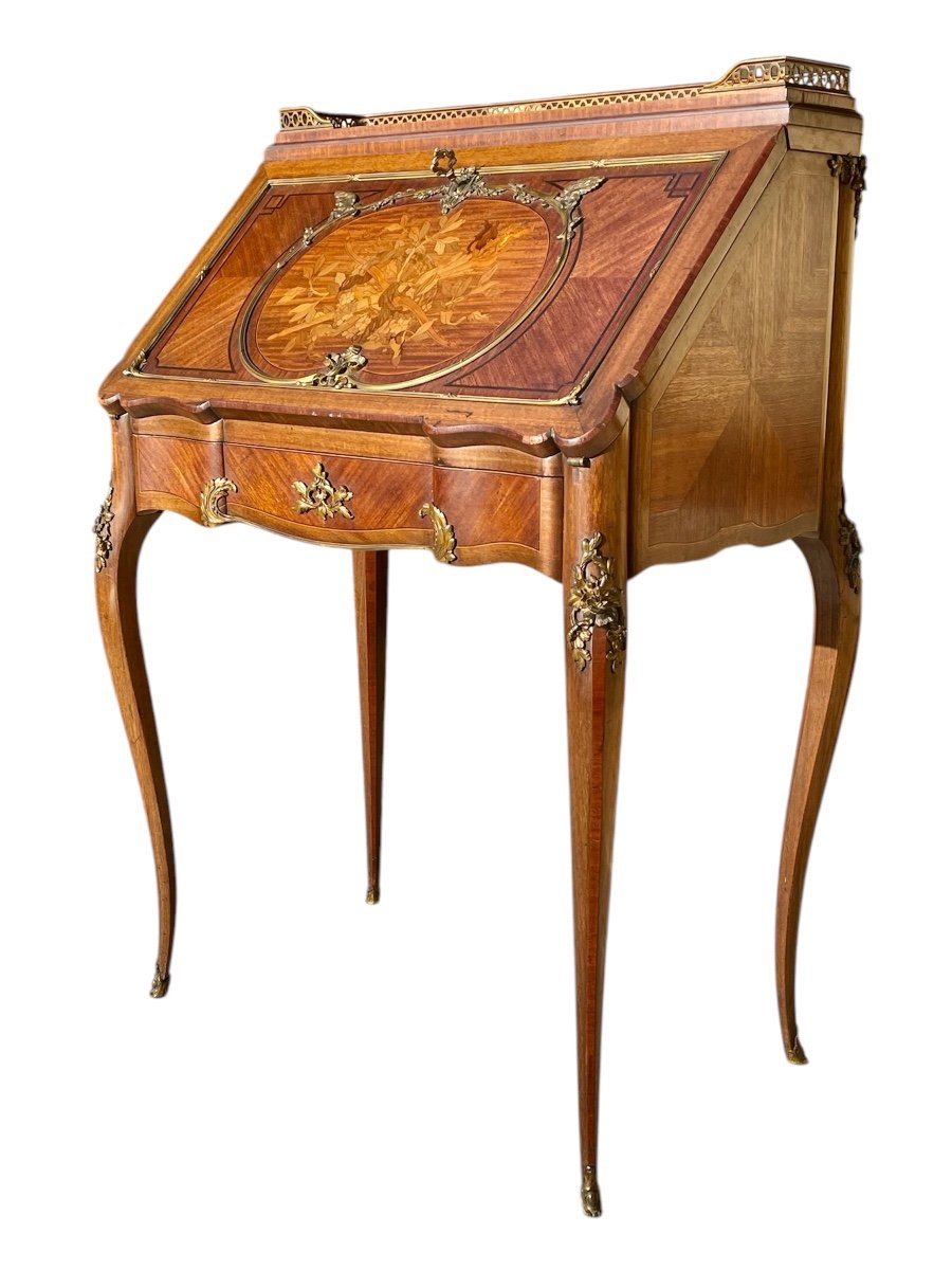 François Linke - Louis XV Style Dos d'âne Desk-photo-1