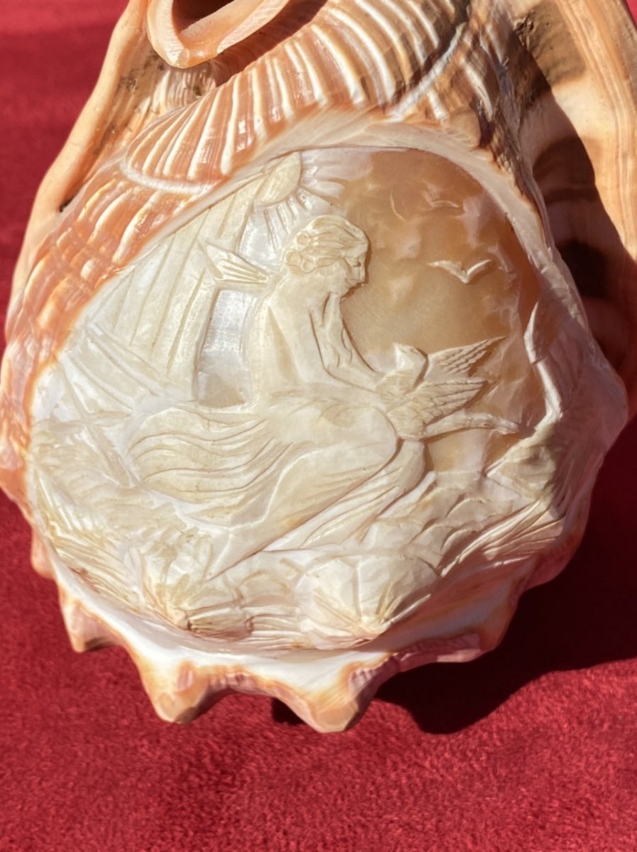 Pair Of Shells Carved In Cameos Forming Lamp Shades-photo-2