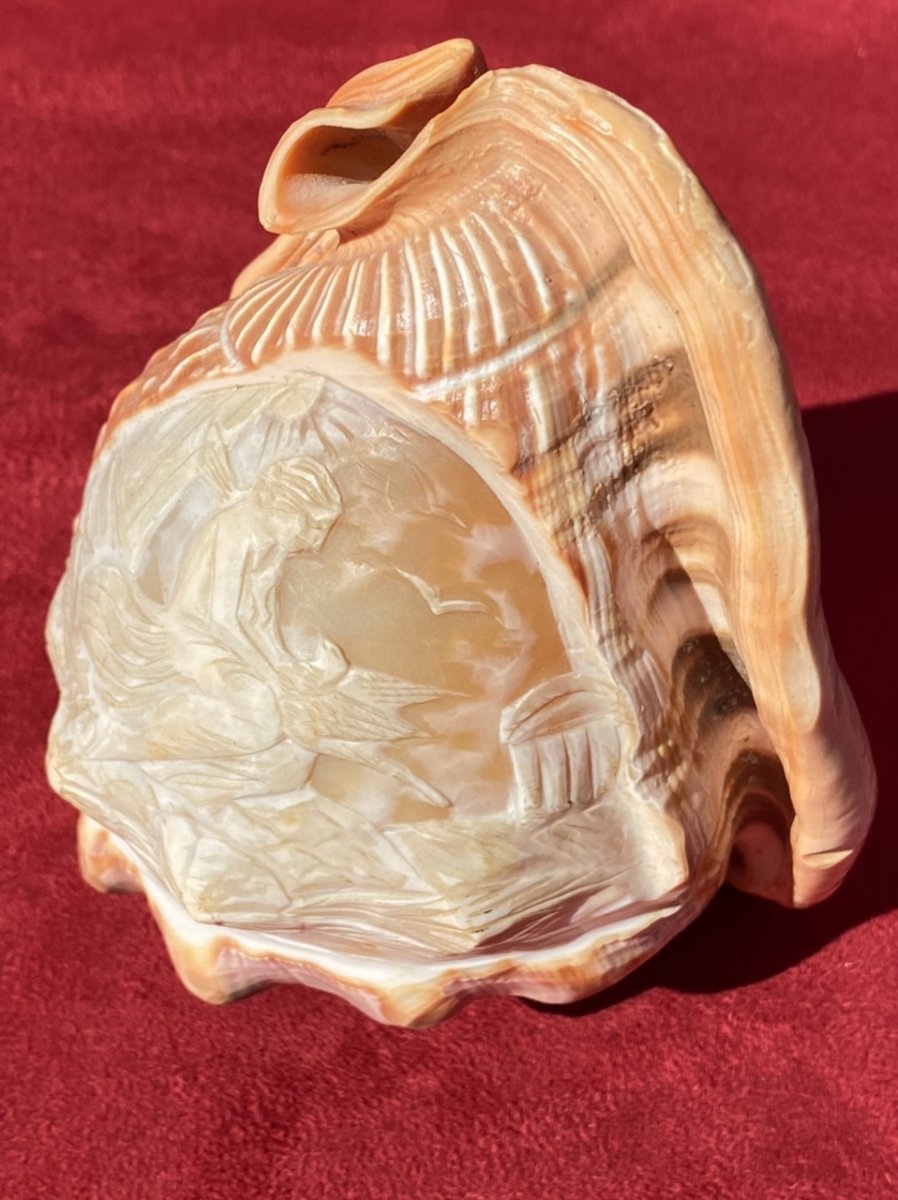 Pair Of Shells Carved In Cameos Forming Lamp Shades-photo-3