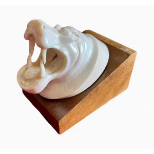 Hippopotamus Head In Ivory