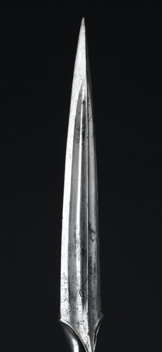 South Indian Spearhead-photo-1