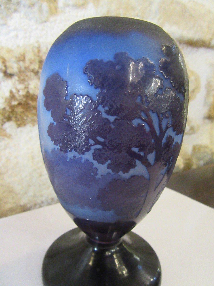 Gallé Rare Blue Vase-photo-2