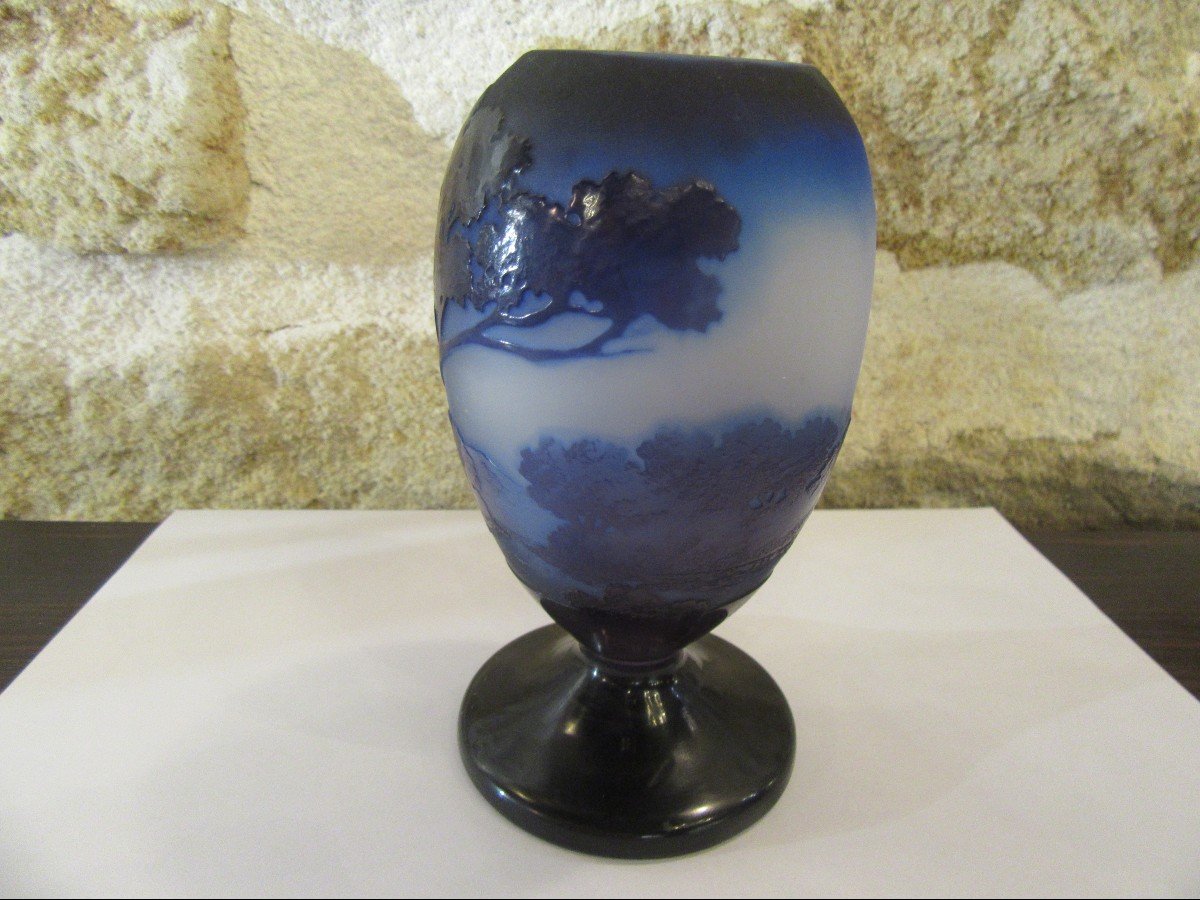 Gallé Rare Blue Vase-photo-4