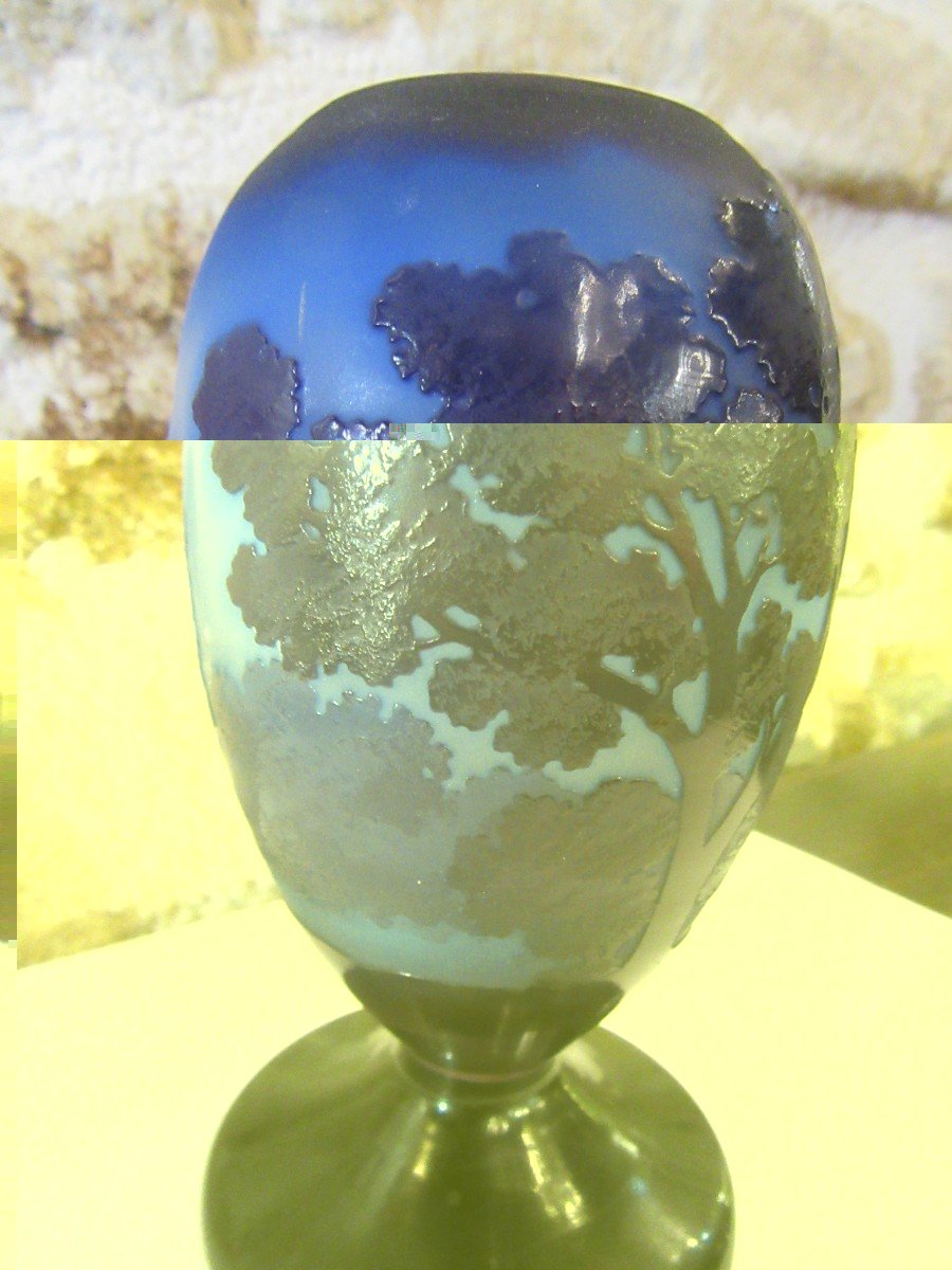 Gallé Rare Blue Vase-photo-1