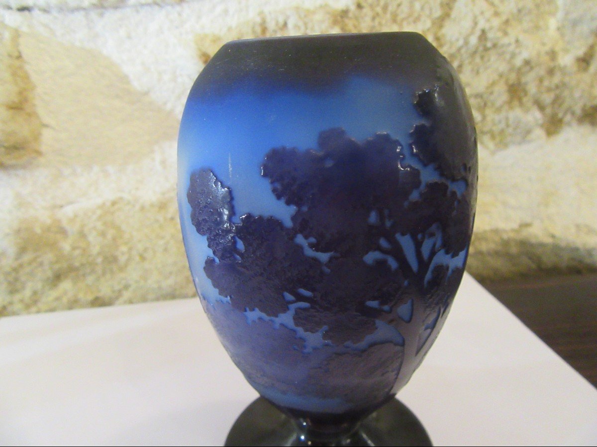 Gallé Rare Blue Vase-photo-7