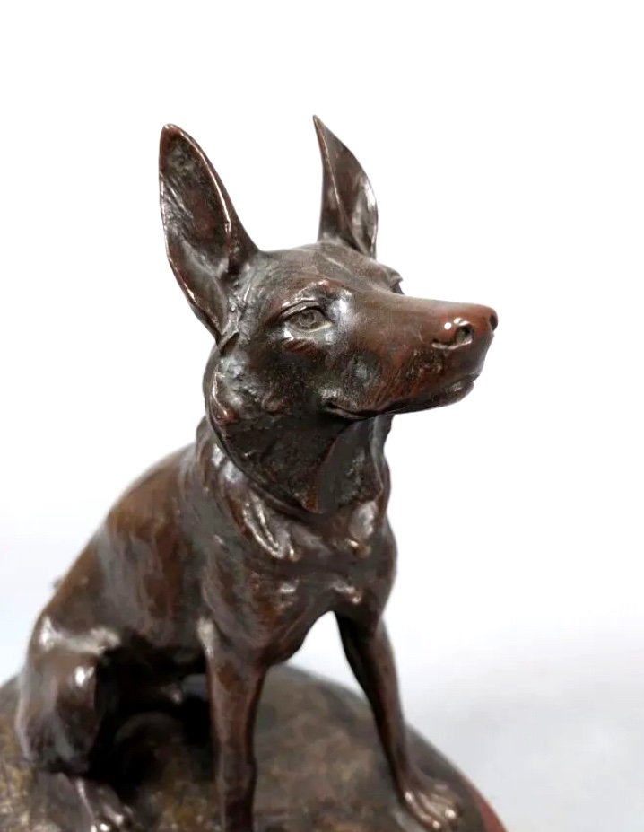  Bronze By Robert Bousquet .german Shepherd On Marble Base .h:26cm-photo-2