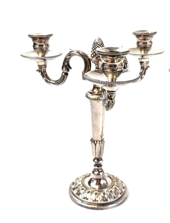 Chrysalia. Pair Of Louis XVI Style Silver Plated Bronze Candelabras -photo-3