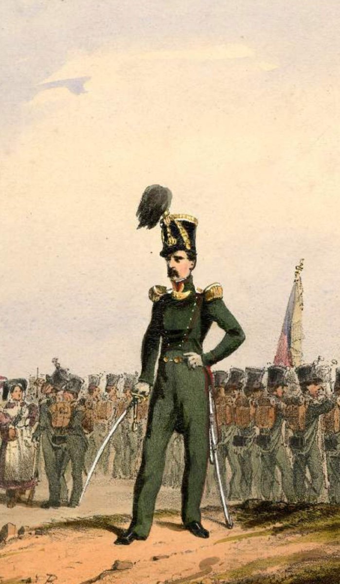 Shako D’officier Du 2e Regiment Des Chasseurs à Pied, Belgique, Après 1831.-photo-7