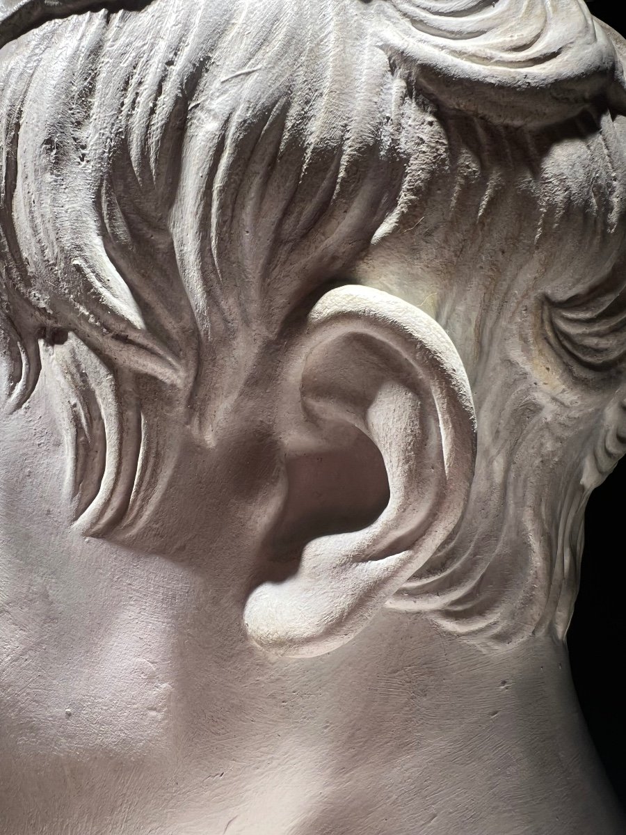 Idealized Bust Of Napoleon After Chaudet, Plaster Proof, France, 1st Half Of The 19th Century.-photo-4