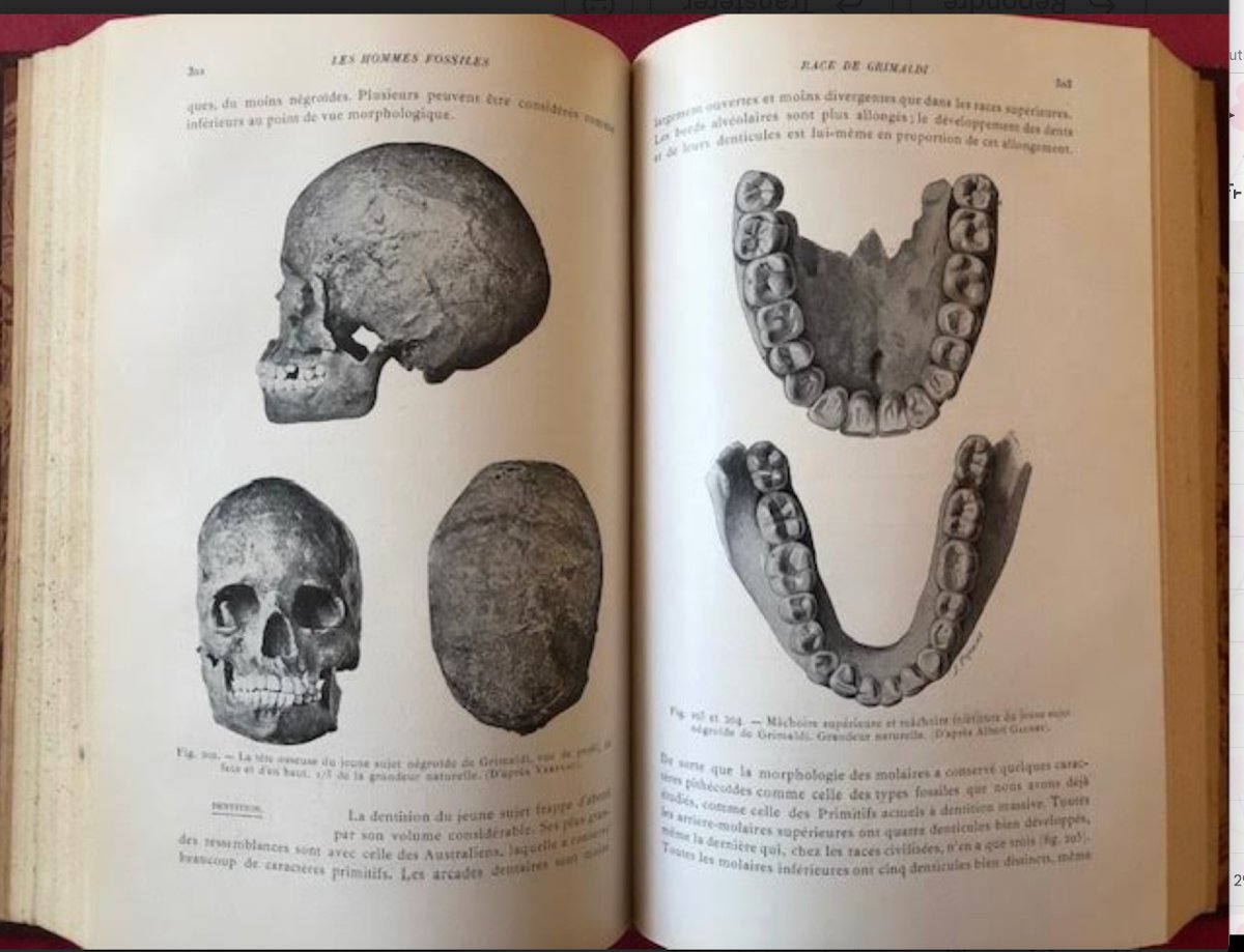 Les Hommes Fossiles  Elements De Paleontologie  Humaine-photo-2