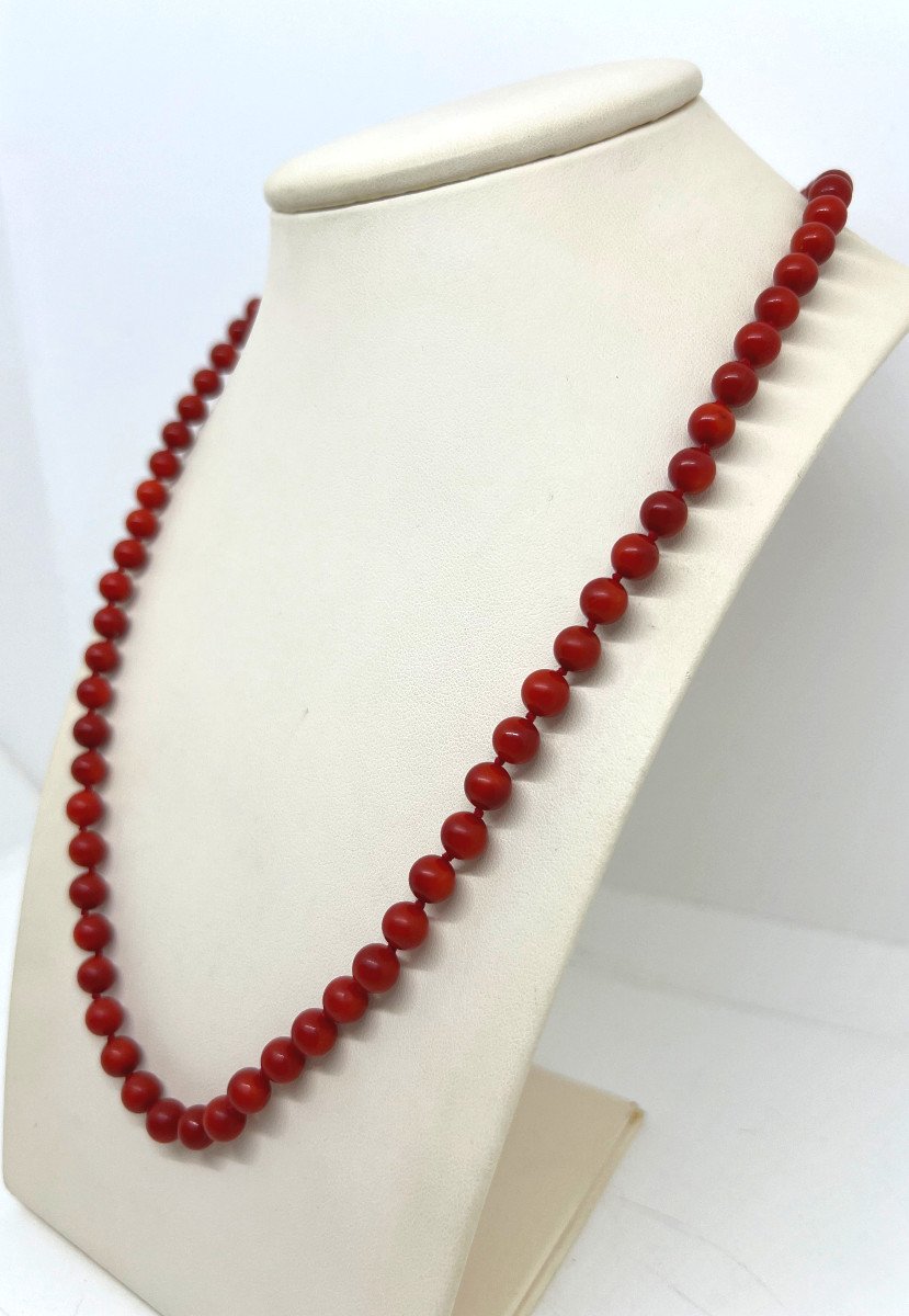 Red Coral Italy XX Sec.-photo-2