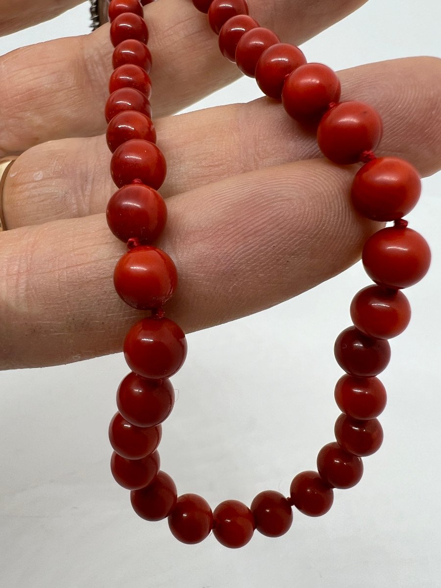 Red Coral Italy XX Sec.-photo-8