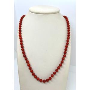 Red Coral Italy XX Sec.