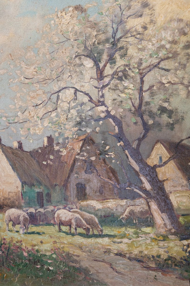 "herd Of Sheep On The Farm", Oil On Hardboard Signed Brigitte Langevin-photo-3