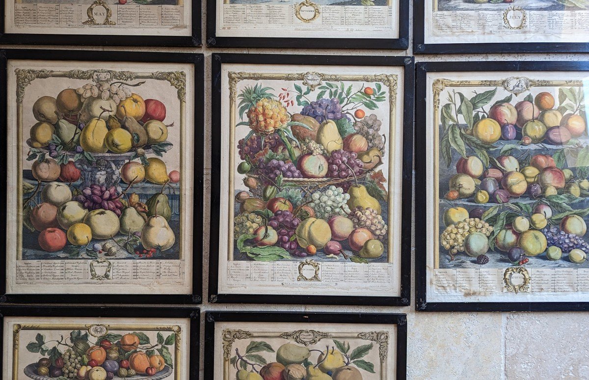 10 Gravures  12 mois de fruits. Pieter Casteels 1732-photo-2