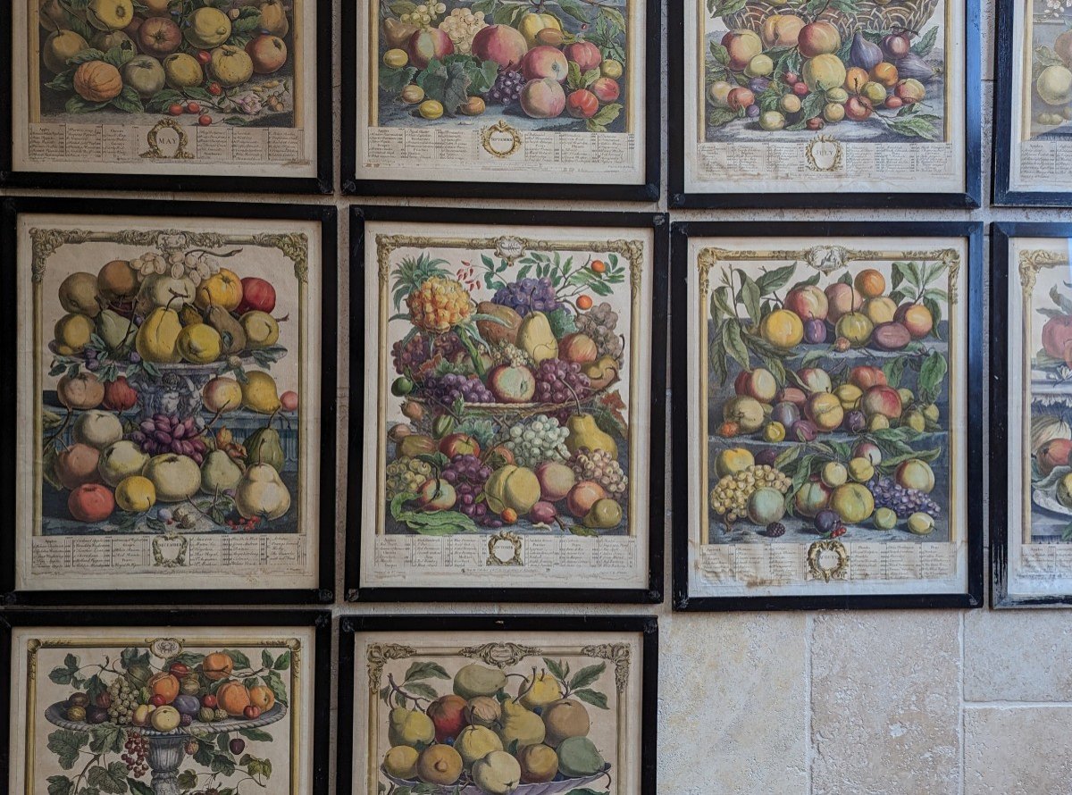 10 Gravures  12 mois de fruits. Pieter Casteels 1732-photo-3