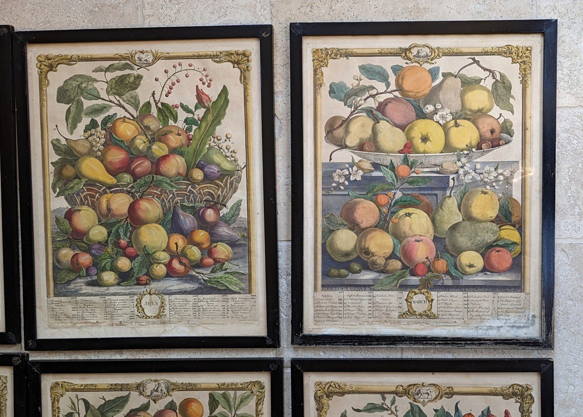 10 Gravures  12 mois de fruits. Pieter Casteels 1732-photo-6