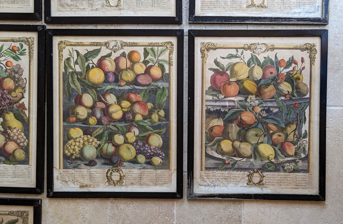 10 Gravures  12 mois de fruits. Pieter Casteels 1732-photo-8