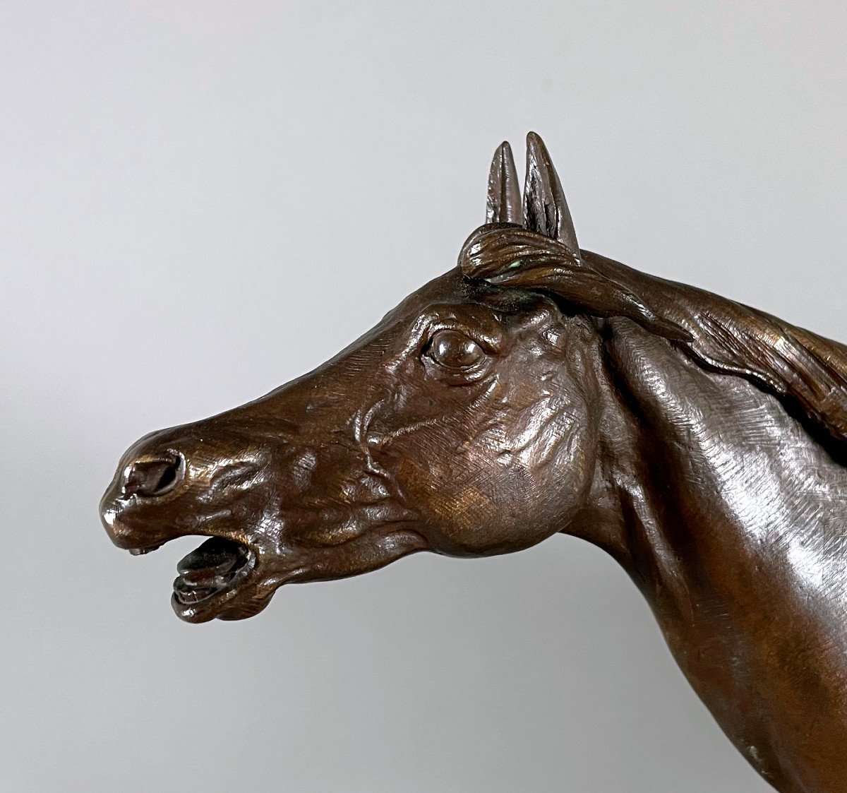 Cheval à La Barrièré En Bronze Pierre Jules Mêne (1810-1879)-photo-4