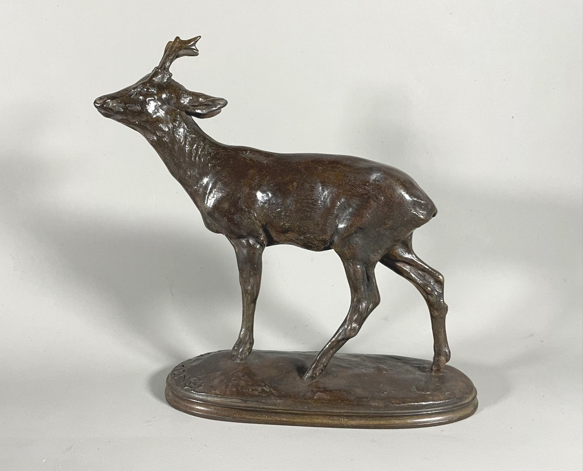  Pierre Jules Mêne 1810-1879 Chevreuil . Bronze Patiné daté 1859 