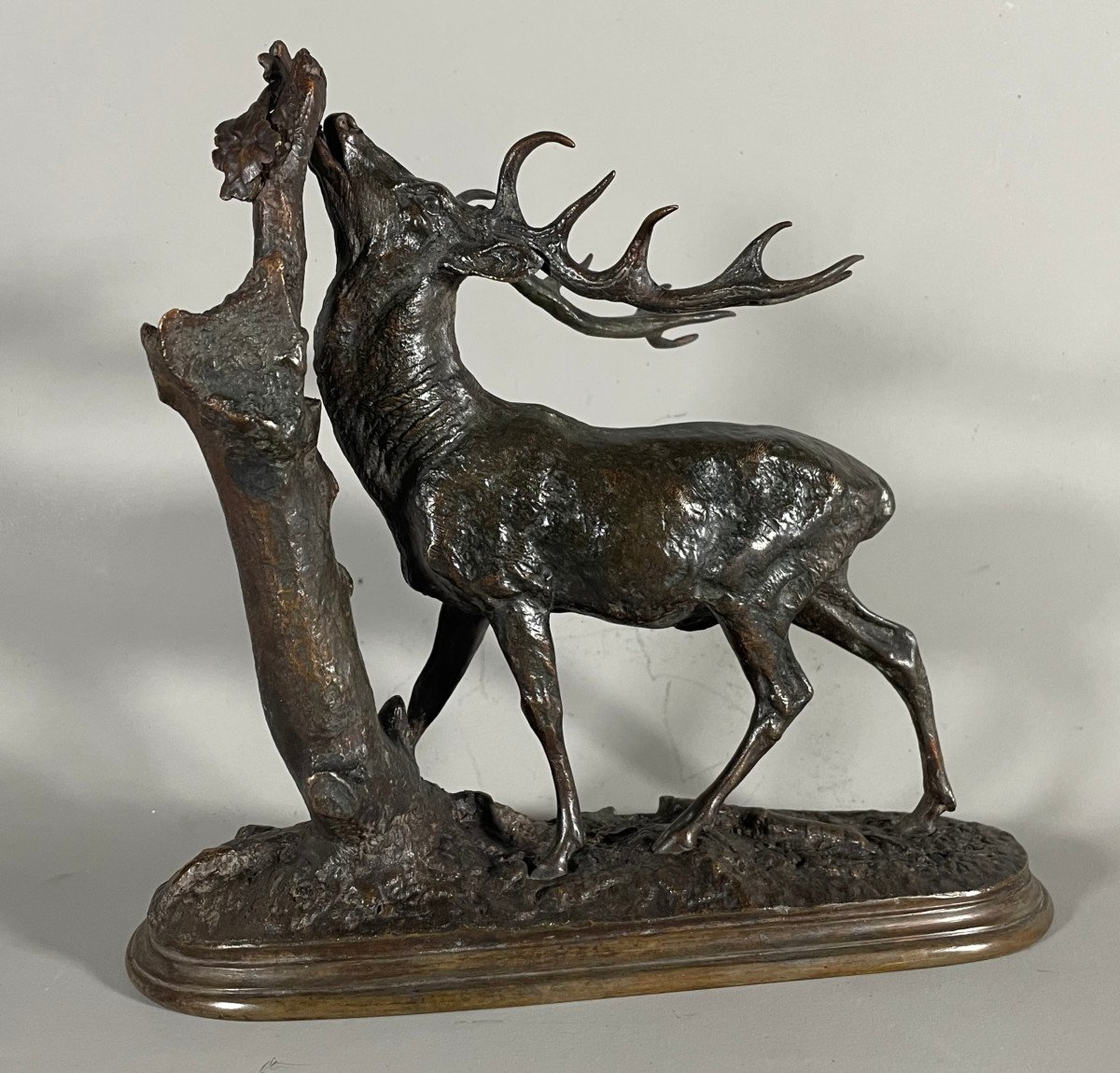 Pierre Jules Mêne 1810-1879 Cerf à La Branche  . Bronze Patiné -photo-2