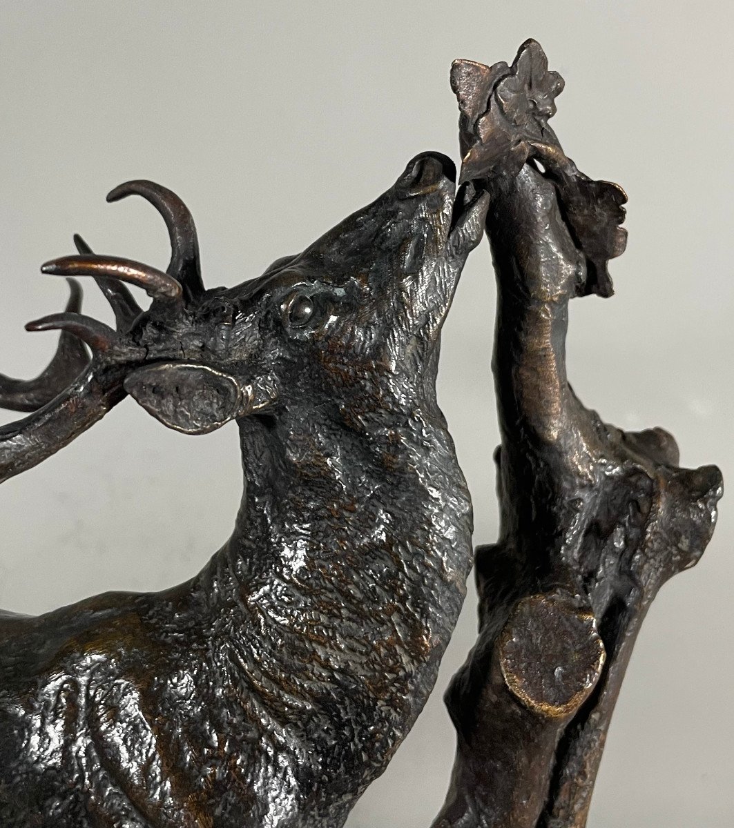 Pierre Jules Mêne 1810-1879 Cerf à La Branche  . Bronze Patiné -photo-3