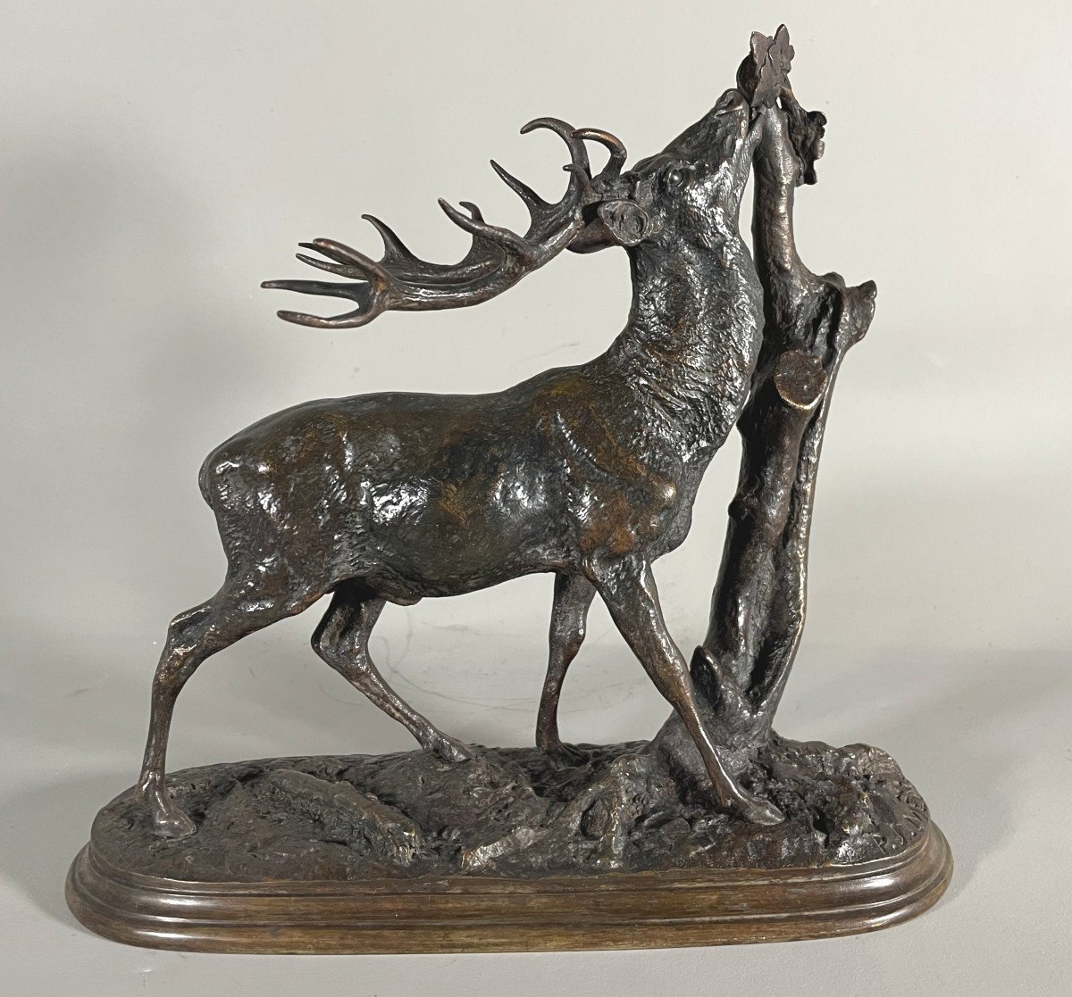 Pierre Jules Mêne 1810-1879 Cerf à La Branche  . Bronze Patiné 