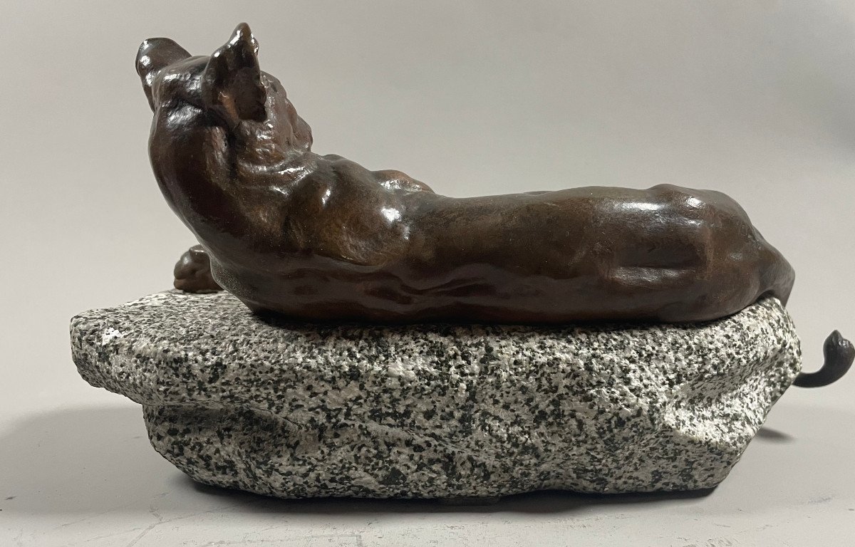 Charles Valton 1851-1918 Lioness On A Rock Bronze And Granit -photo-2