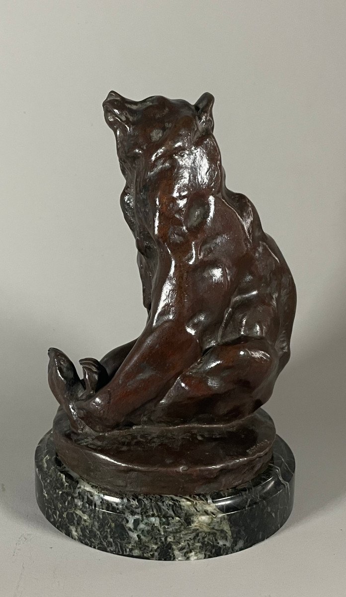 Gerges Gardet 1863-1939. Seated Bear Bronze Cast Iron Siot -photo-3