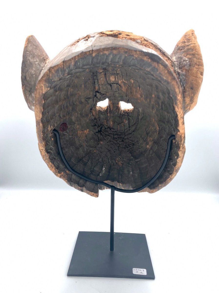 Nepal, 19th Century - Wooden Animal Mask With Traces Of White, Black And Pink Polychromy-photo-2