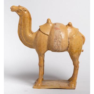 Mounted Camel, China, Tang Period (618-907)